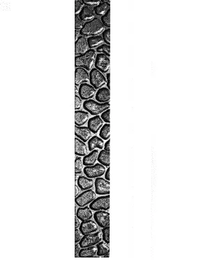 30.118.20 Полоса 20х4мм (Полоса 20х4мм)