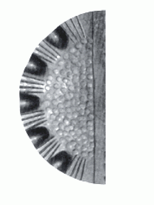 15.272.05 Накладка на замок 263х128мм, товщина 3 (Арт.)